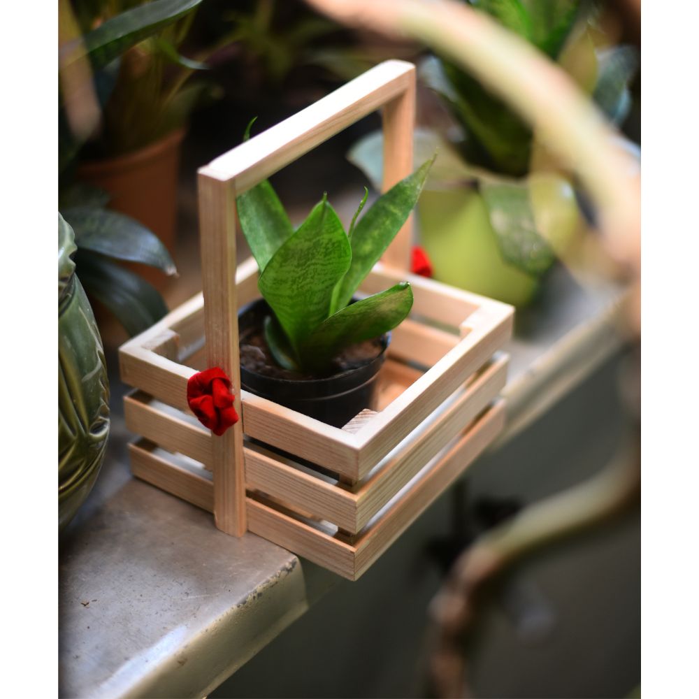 SQR BASKET _ 6